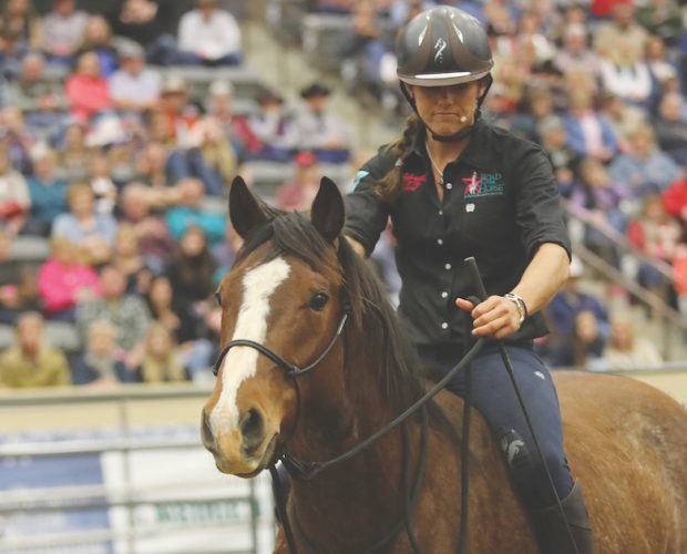 Vicki Wilson riding colt at Road to the Horse